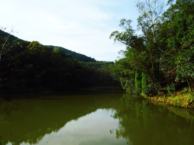 DSC00971_.jpg