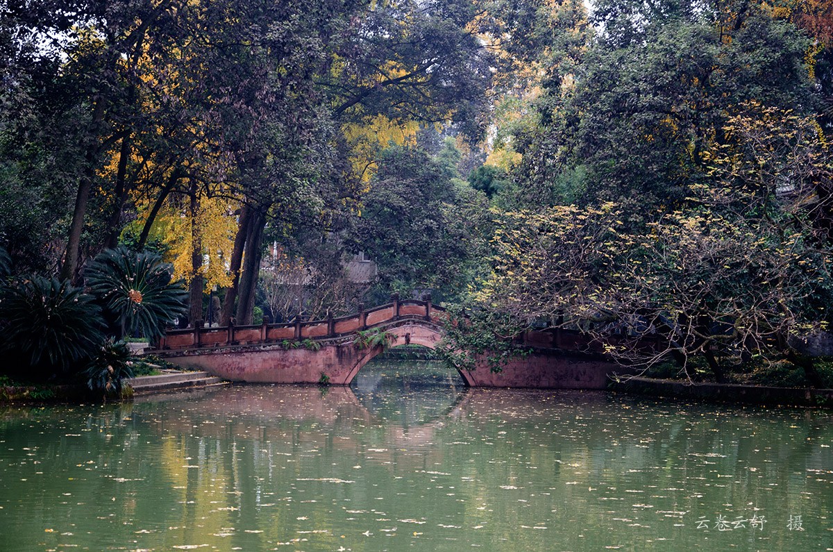 conew__dsc0575.jpg