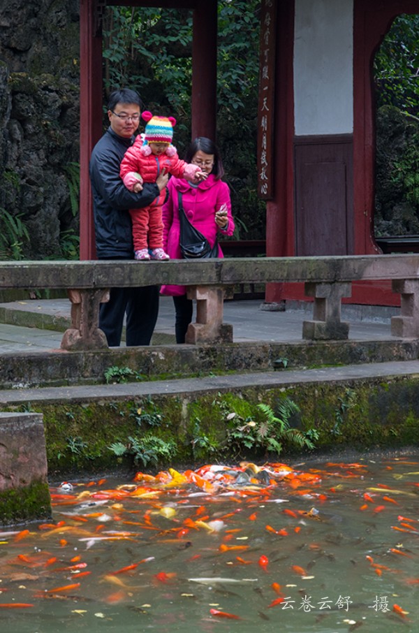 conew__dsc0581.jpg