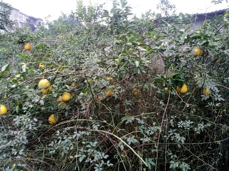 20141206_140758.jpg