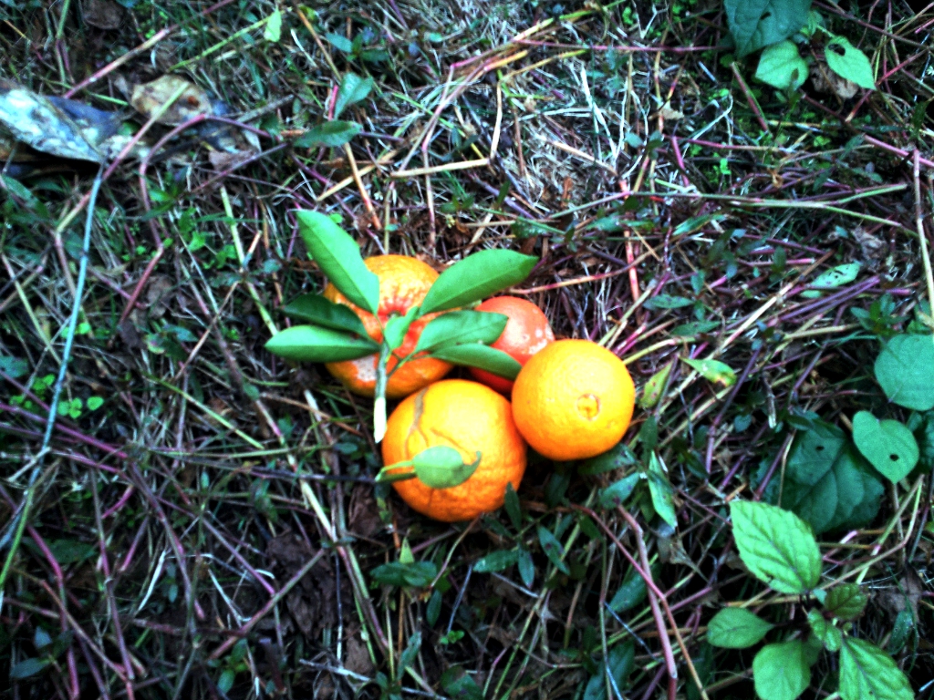 20141206_142752.jpg