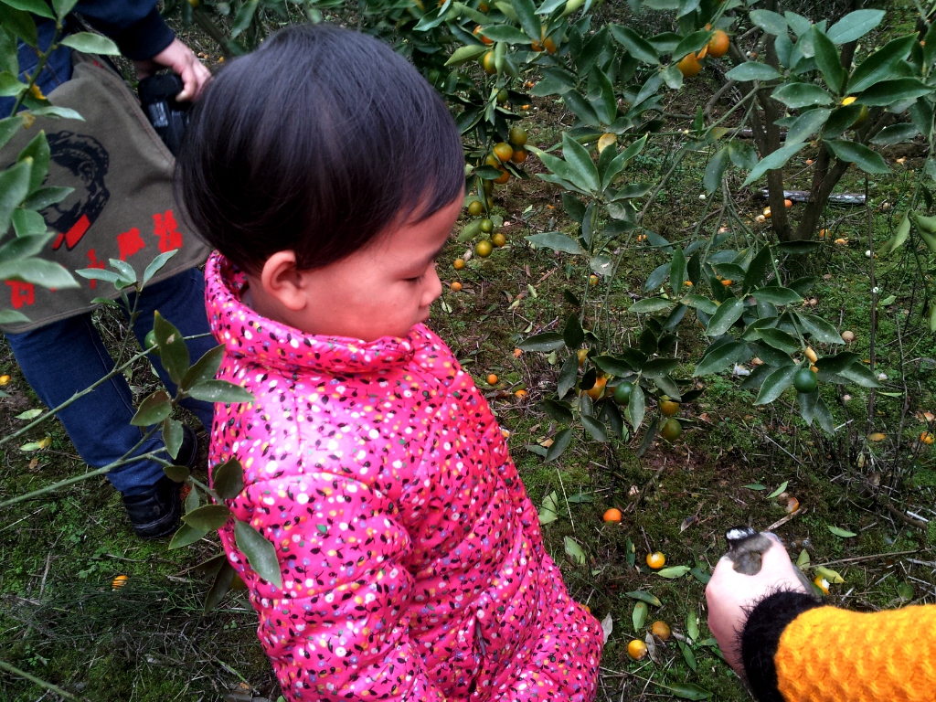 20141206_144405.jpg