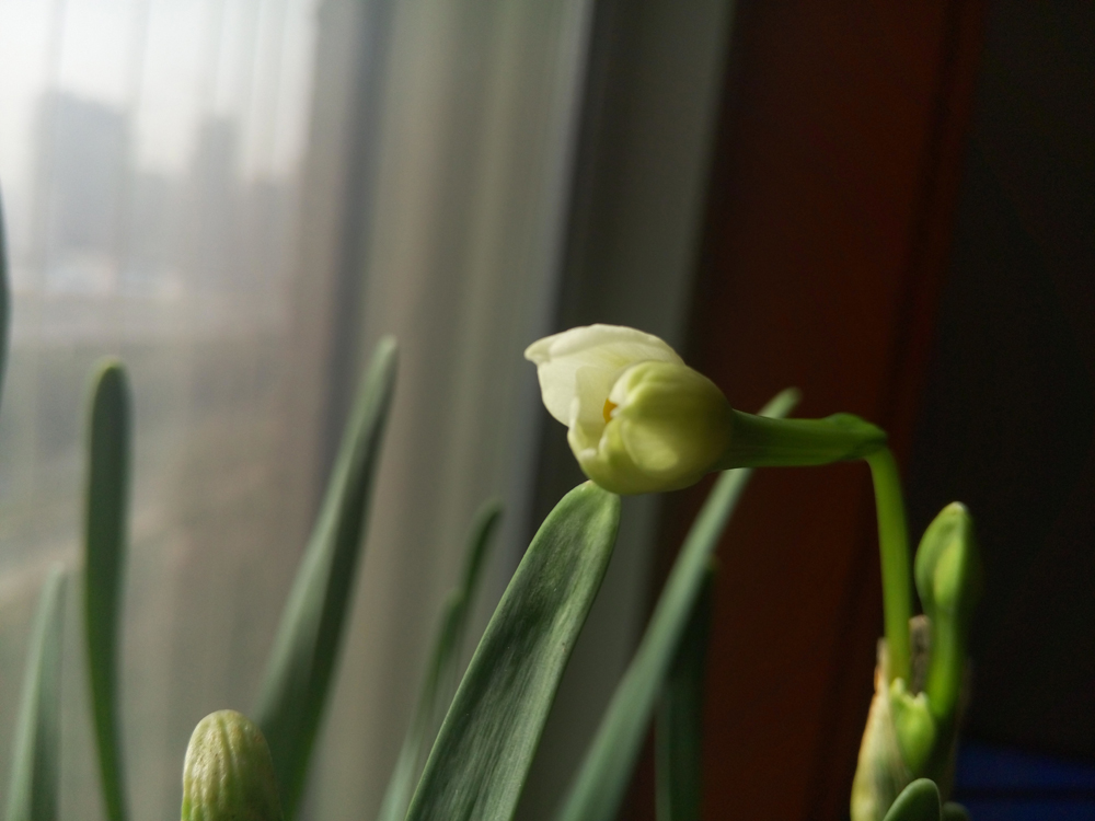 QQͼƬ20141210131946.jpg
