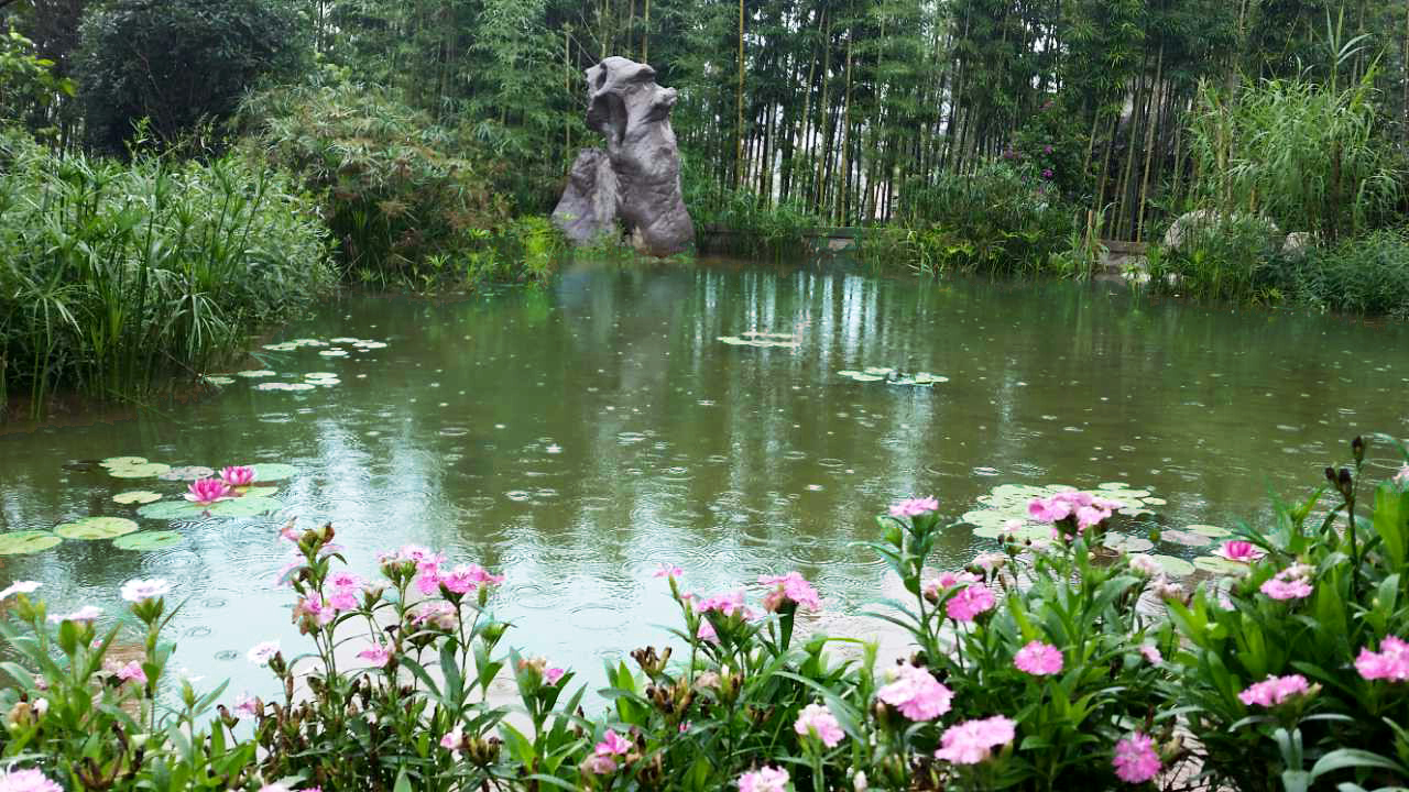 ֹŹ