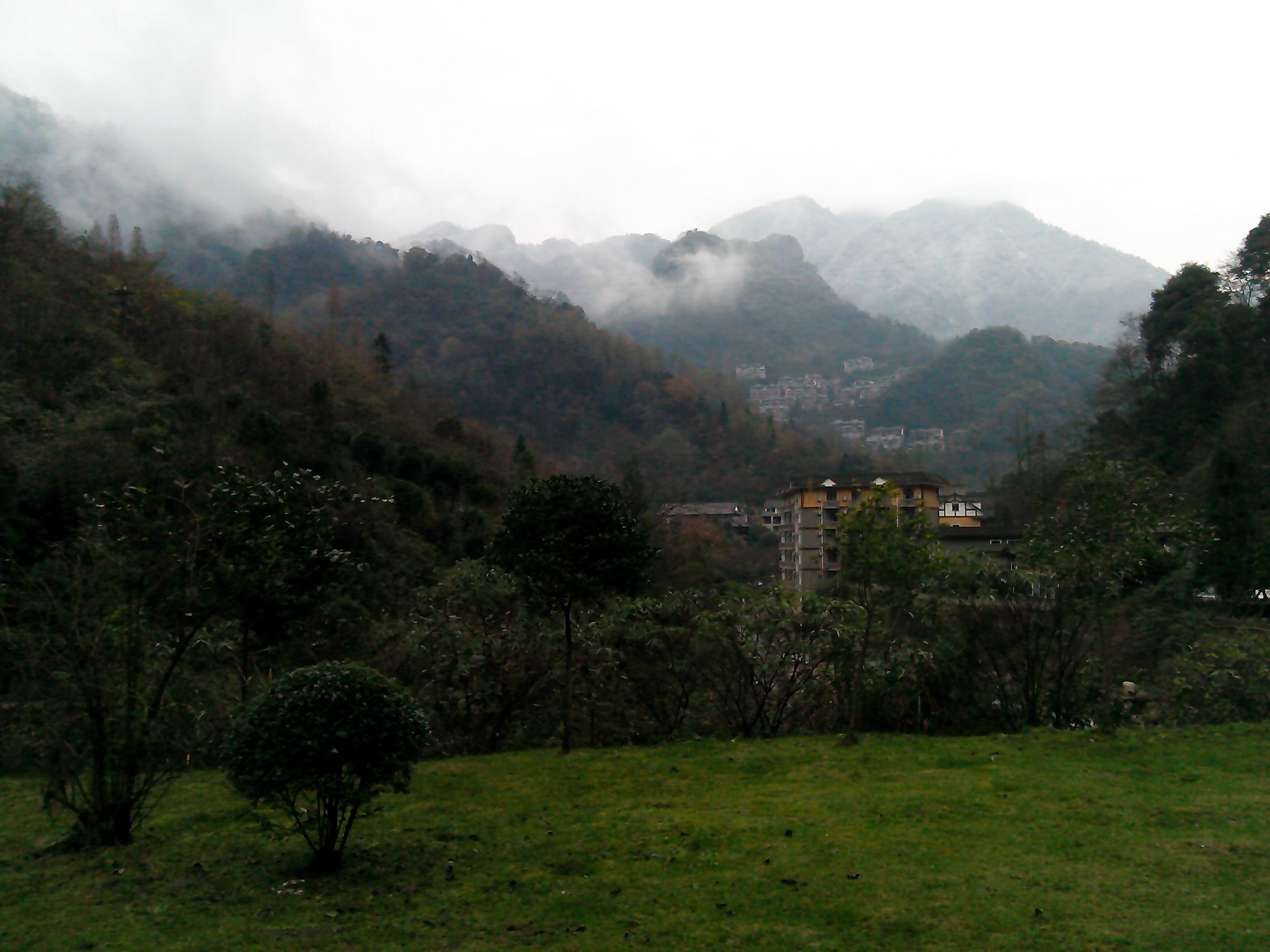 IMG_20141210_095749.jpg