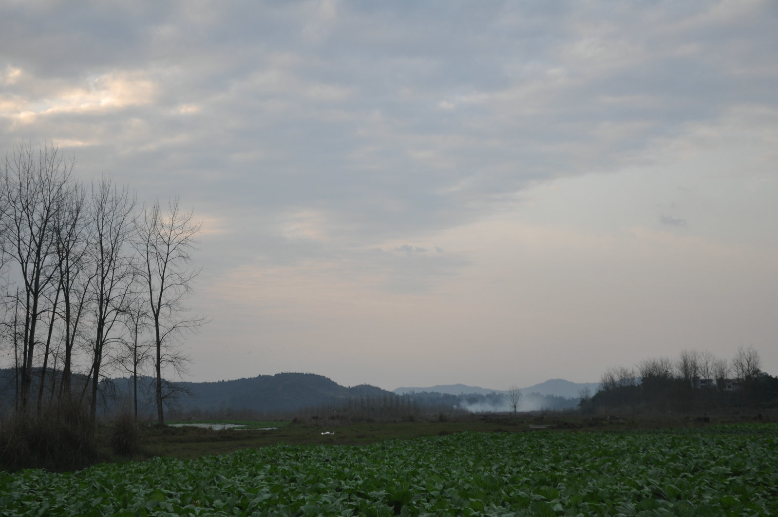 DSC_0441.JPG