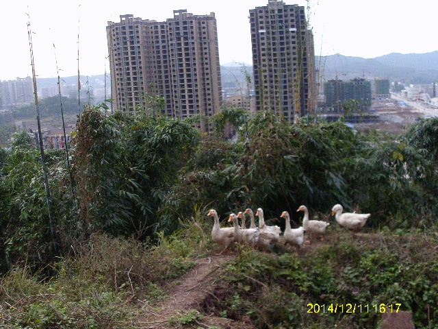 IMAG2159.JPG