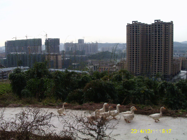 IMAG2162.JPG
