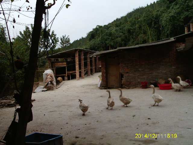 IMAG2168.JPG