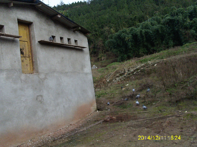 IMAG2173.JPG