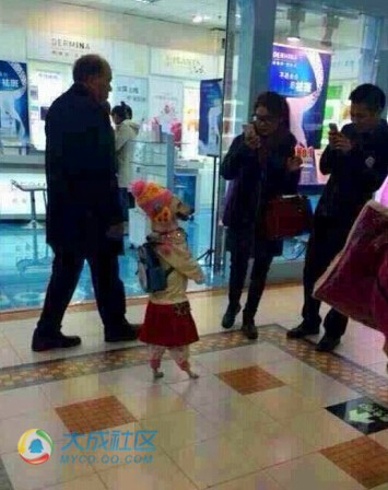 (оͷʮ㰡)
