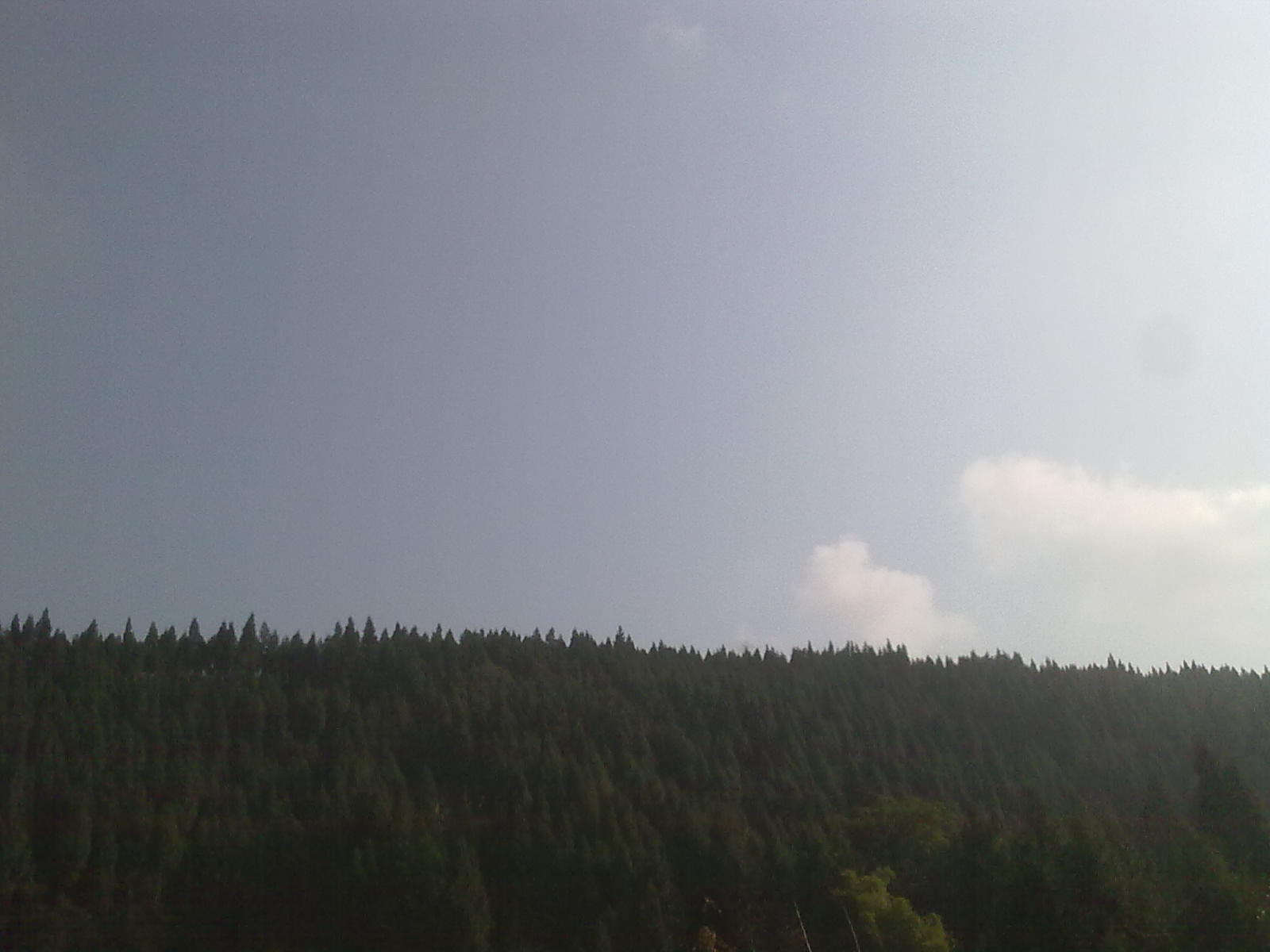Ӱ 007.jpg