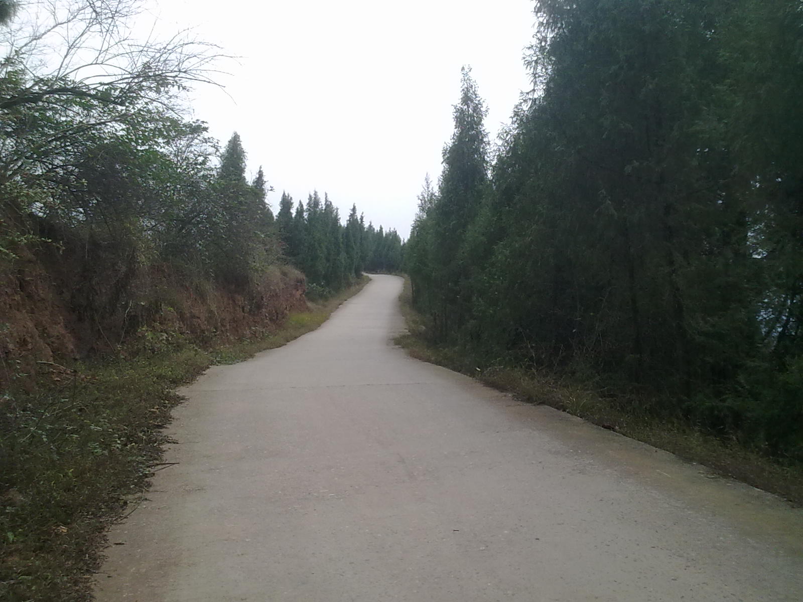Ӱ 022.jpg