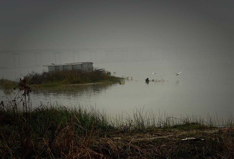_DSC9325_.jpg