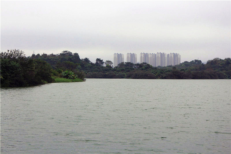 雁田水库喜与乐