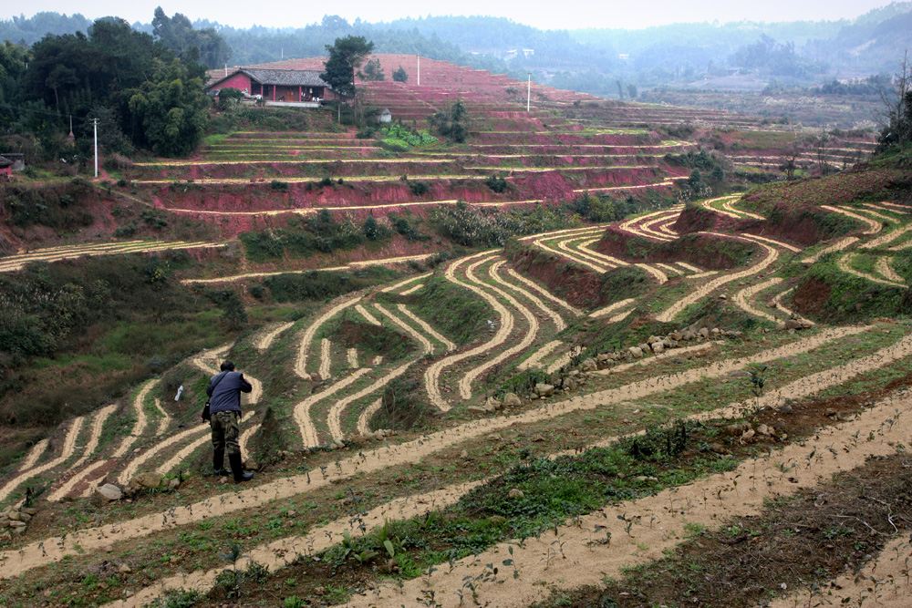 罗城铁山风景区图片