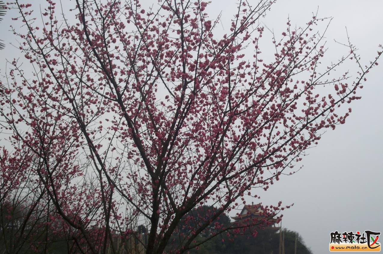 20141216212100036.jpg