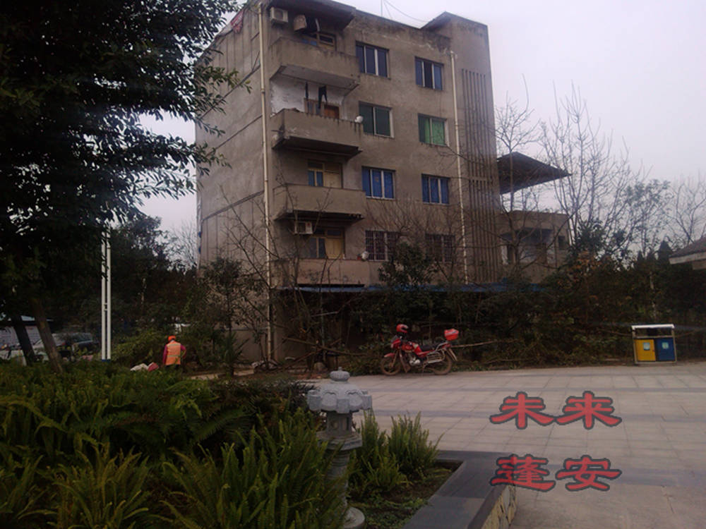 IMG_20141216_143024.jpg