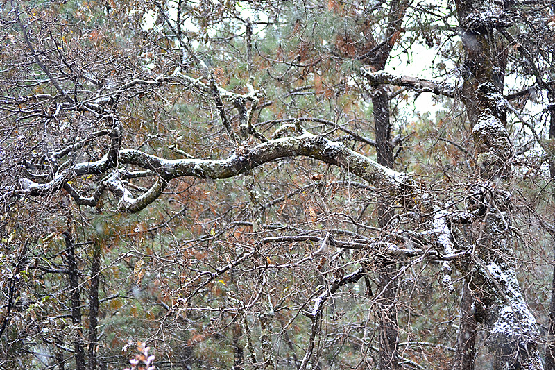DSC_6721_.jpg