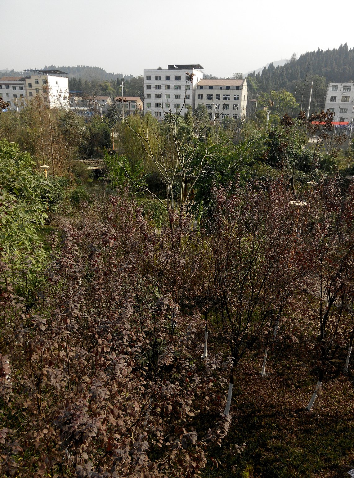 IMG_20141218_130632.jpg