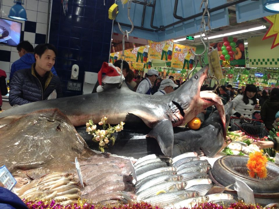 QQͼƬ20141218145243.jpg