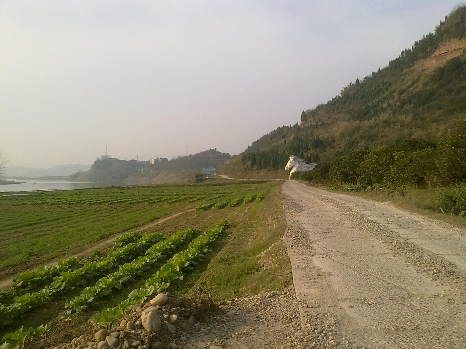 2014121813412.jpg