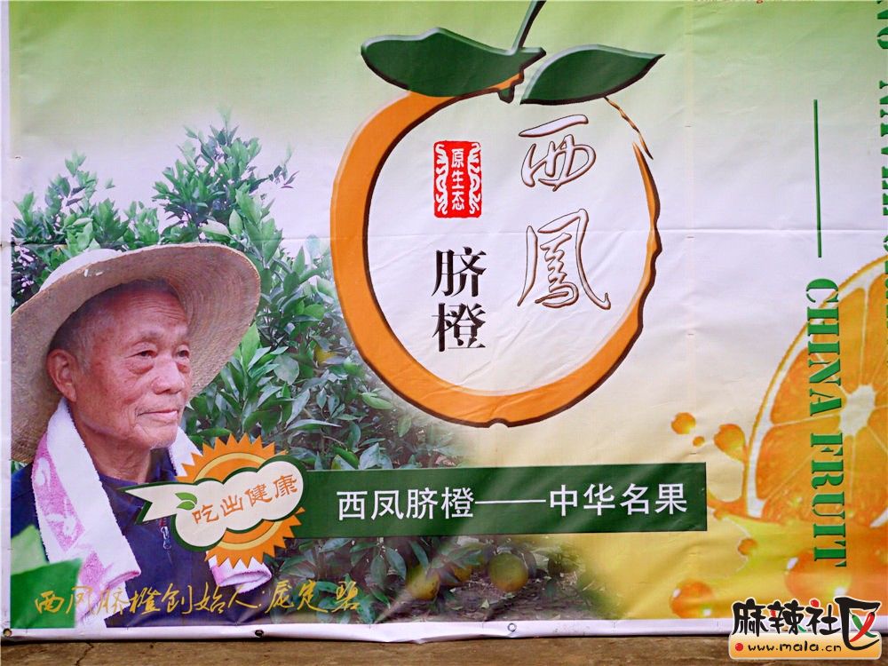 P1090283.JPG