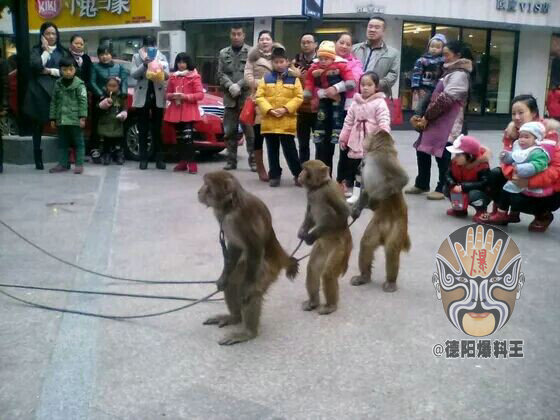 QQͼƬ20141221100328.jpg