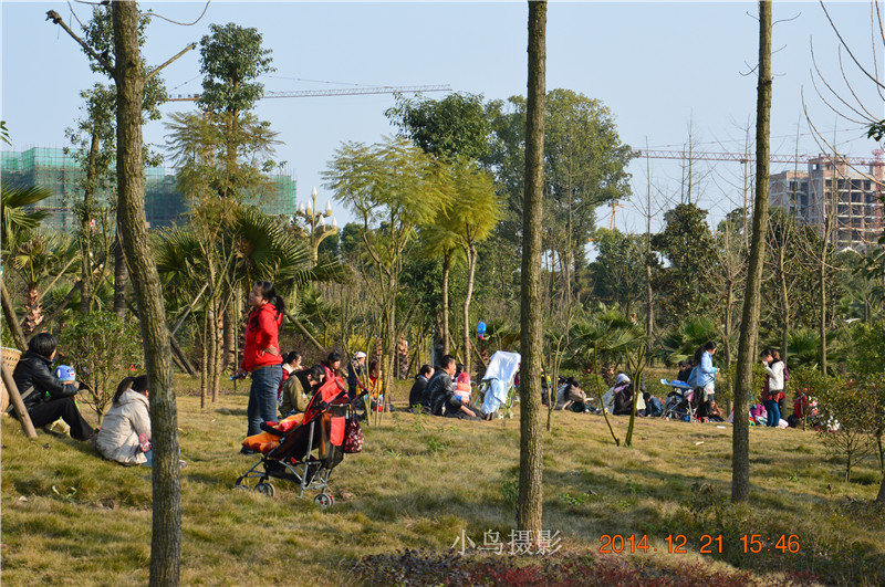 DSC_0016.JPG
