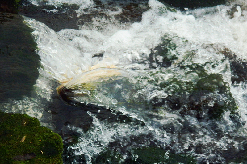 DSCN 047.jpg