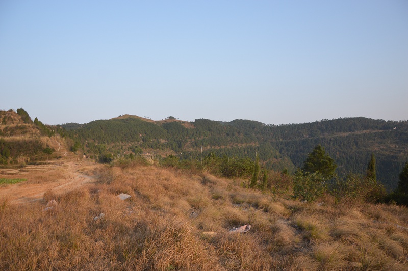 DSC_0695.jpg