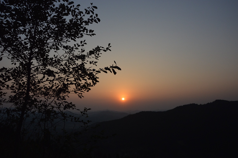 DSC_0701.jpg