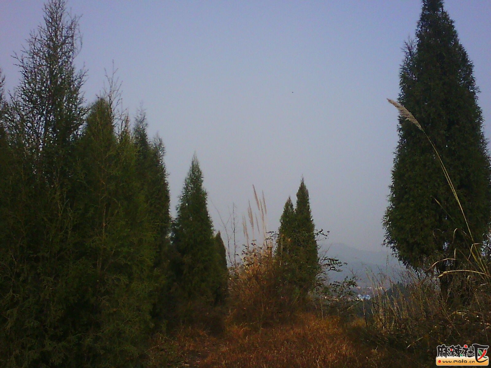 IMG15122.jpg