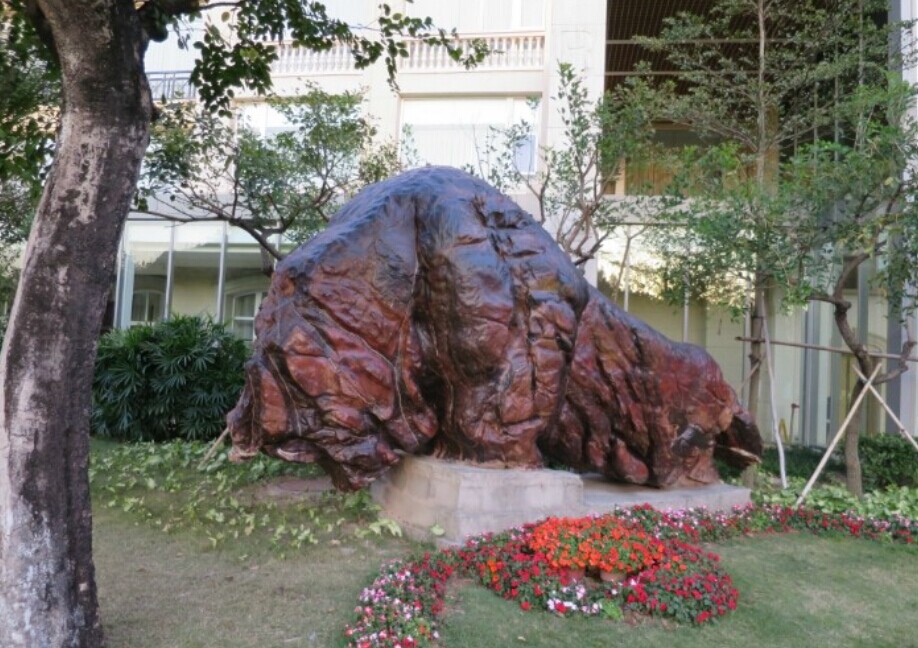 170.jpg