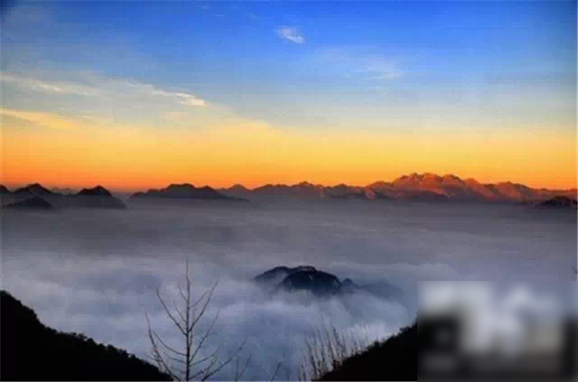 zhao3.webp.jpg