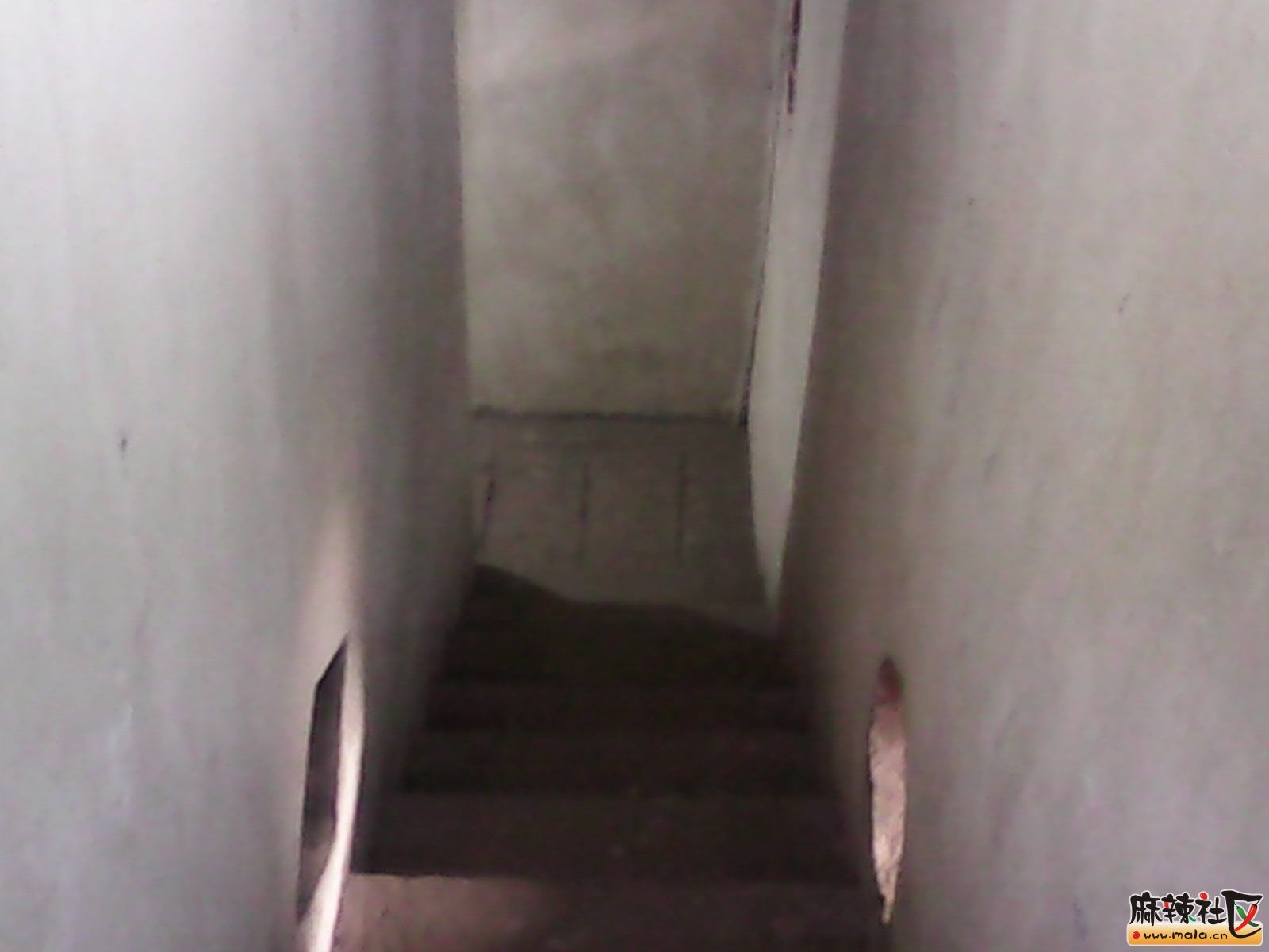 IMG_20141227_164038.jpg