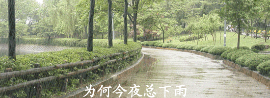 1419821172152.gif