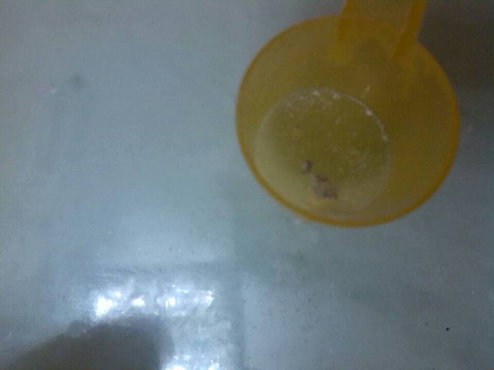 QQͼƬ20141229153848.jpg