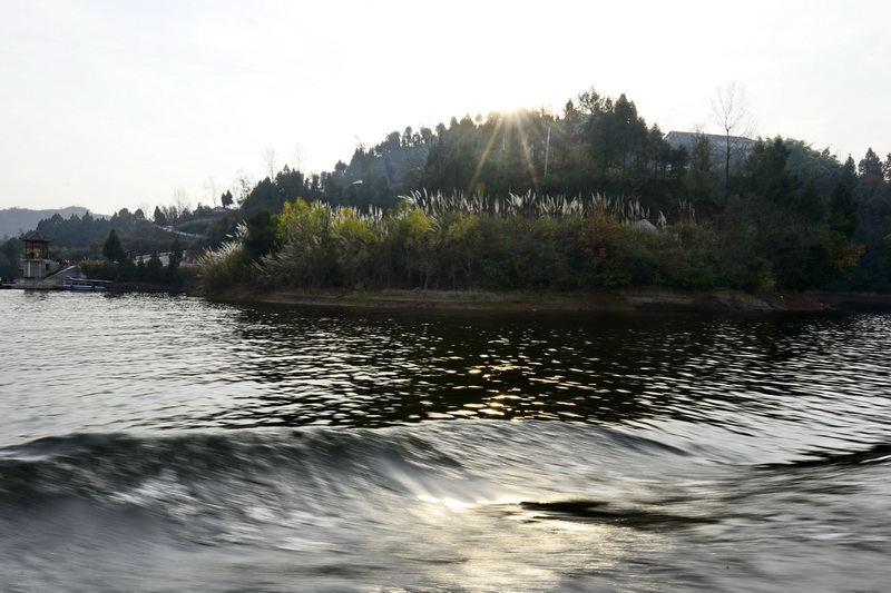 _DSC1154_С.jpg