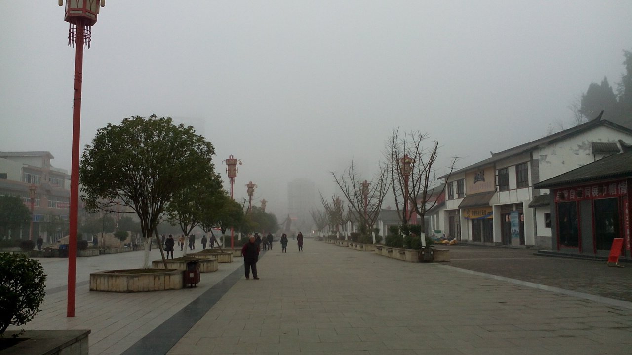 IMG_20141229_091807.jpg