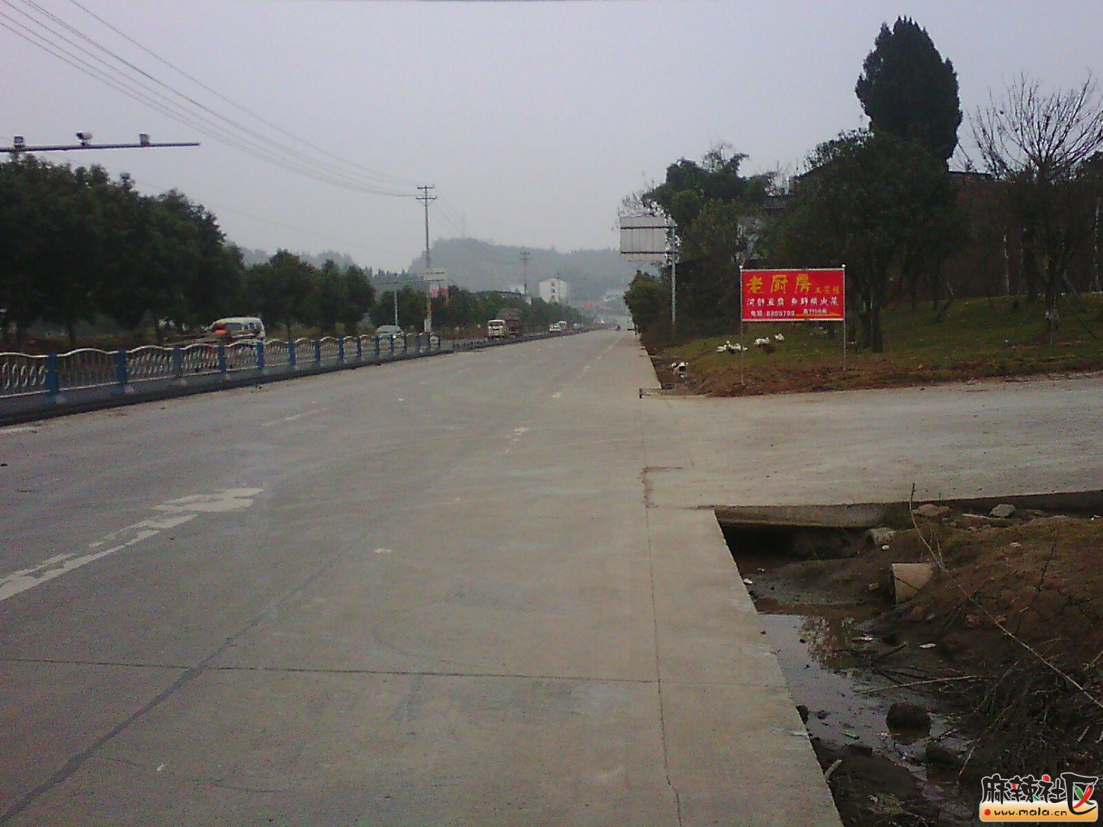 IMG15451.jpg