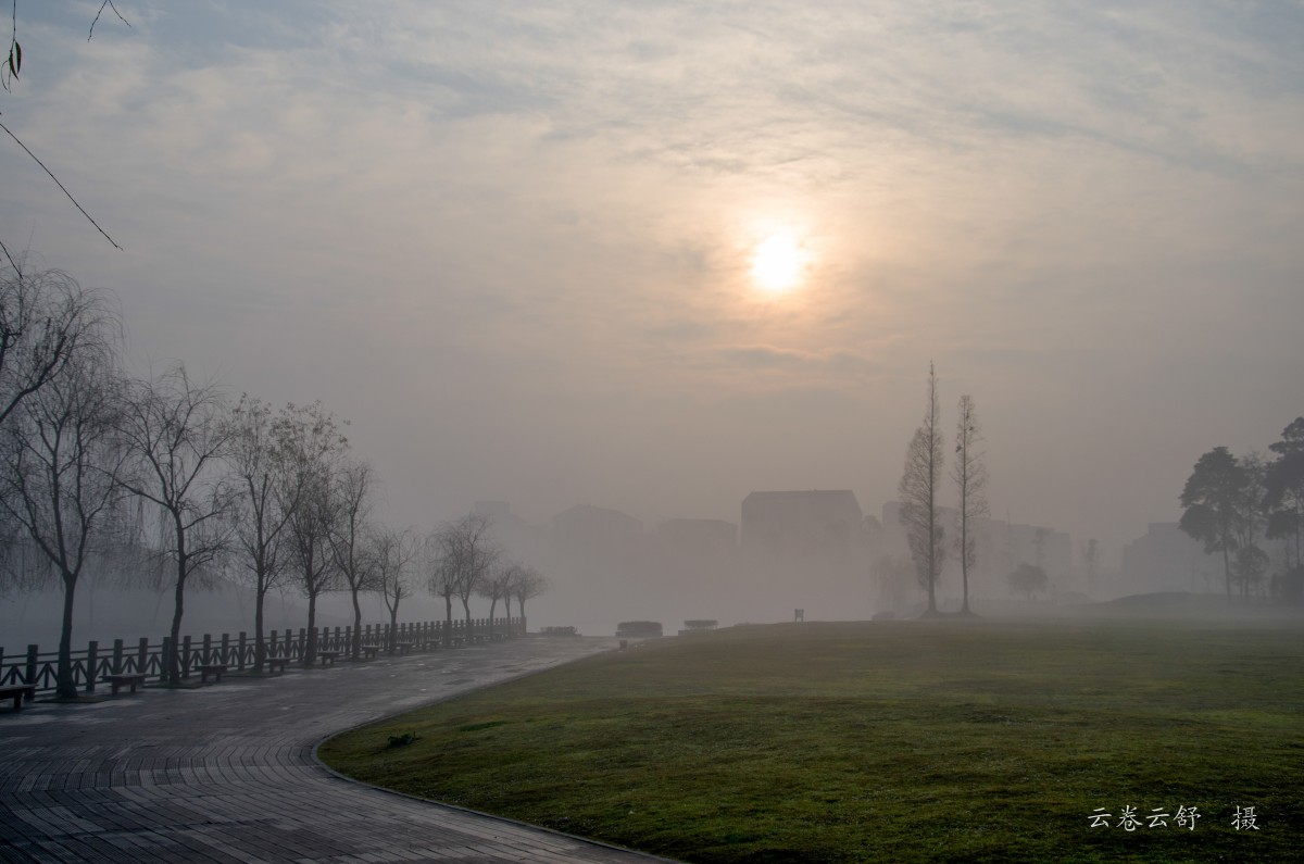 conew__dsc1611.jpg