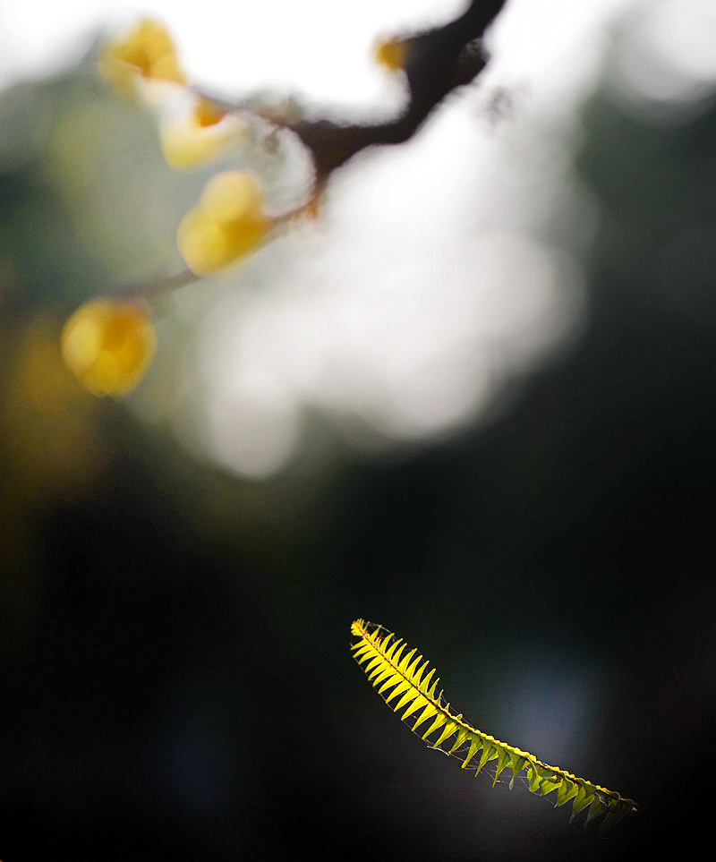 DSC_3457.JPG