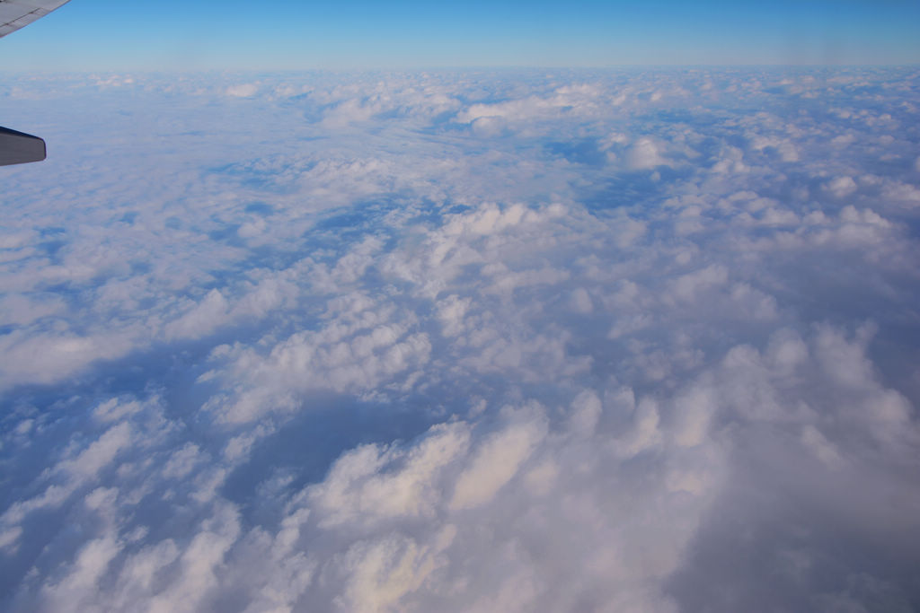 DSC_0113.jpg