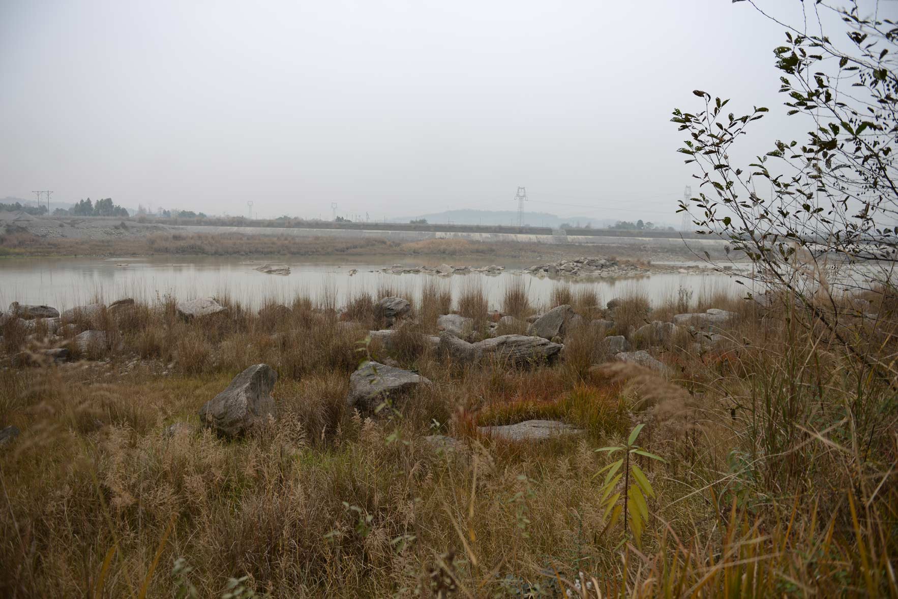 DSC_2029.jpg