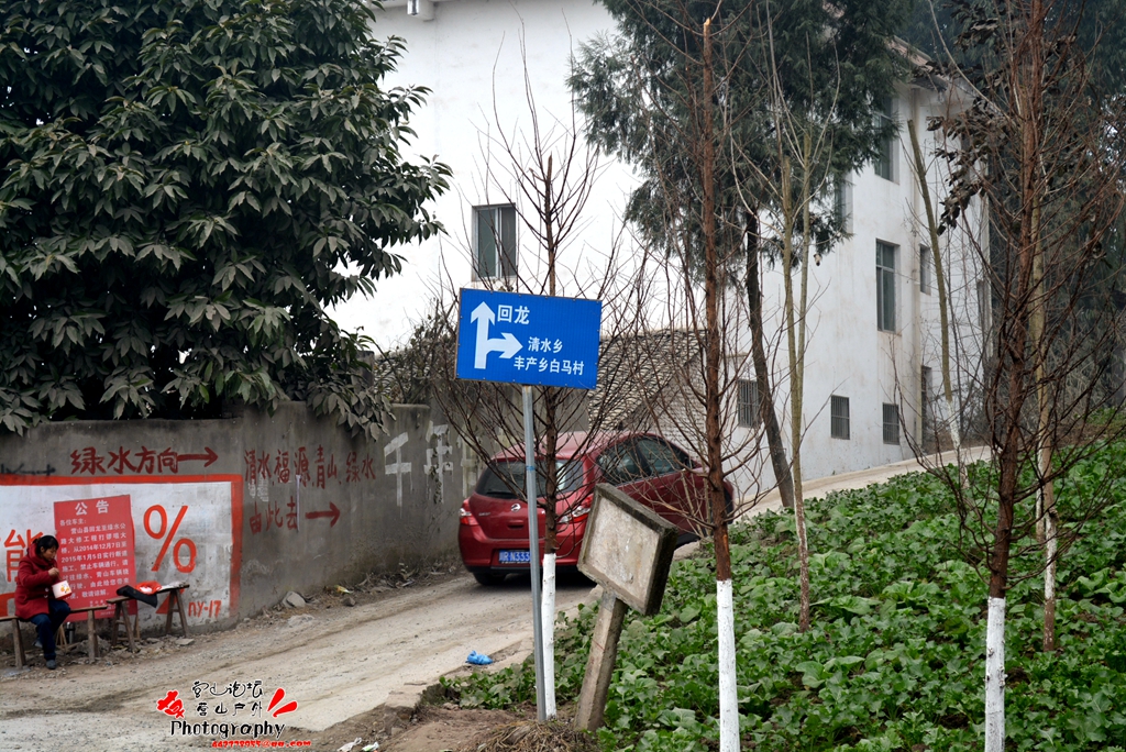 DSC_0355.JPG