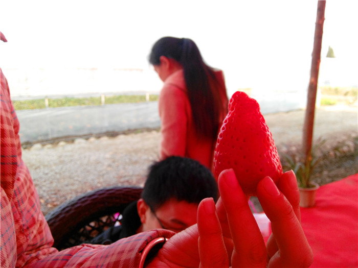 IMG_20141227_150412.jpg