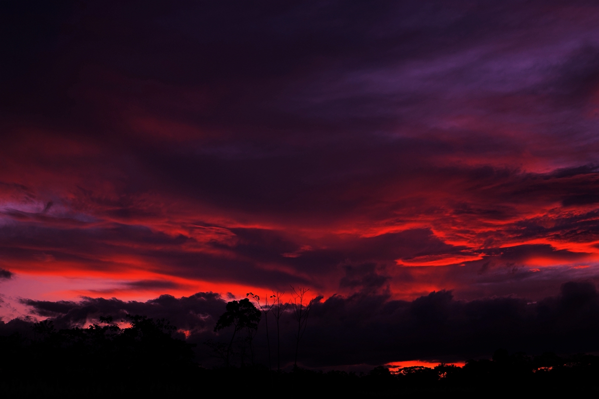 DSC01194_.jpg
