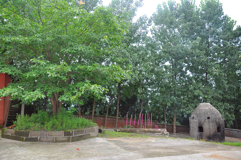 185341huimulyy3jn2nmzz.jpg