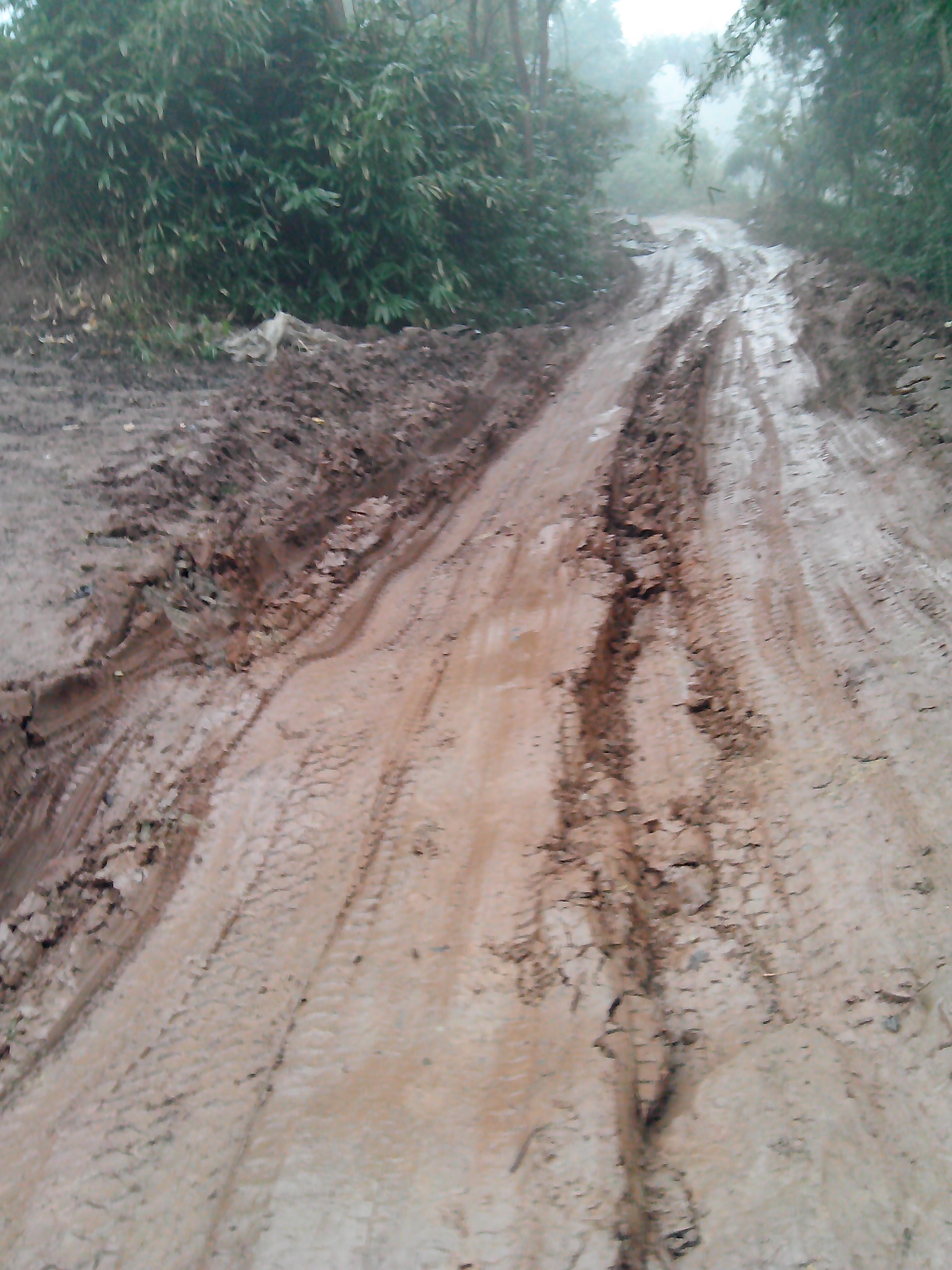 烂路烂路烂路,杨通海的修路求助